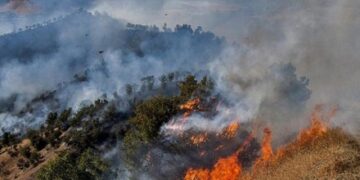 جنگل های نمنق جلفا